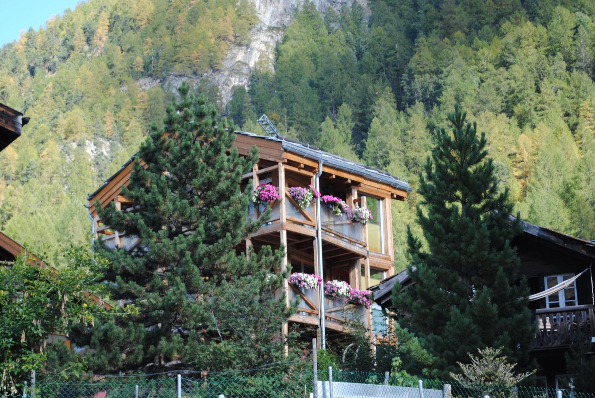 Chalet Schwalbennest Zermatt Esterno foto