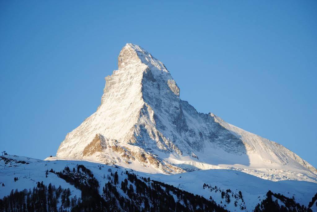 Chalet Schwalbennest Zermatt Esterno foto